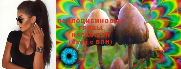 гидра Богородск