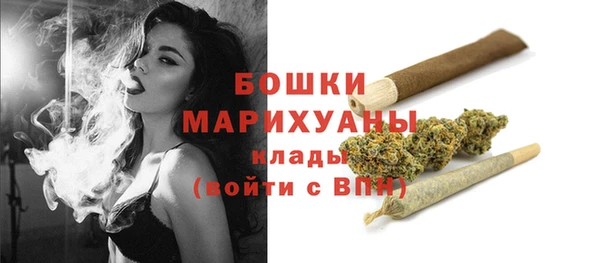 apvp Богданович