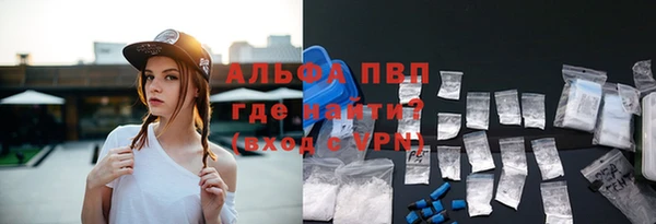 гидра Богородск