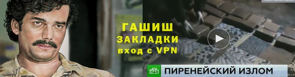 гидра Богородск