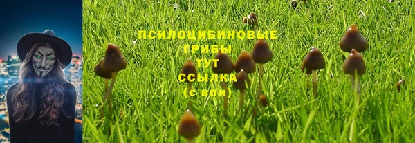 амфетамин Белокуриха