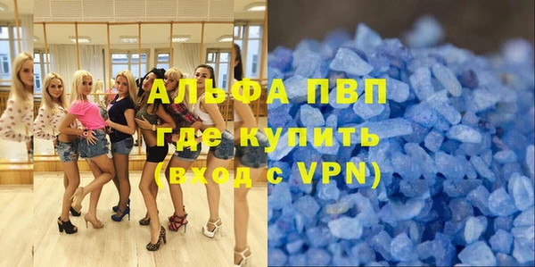 гидра Богородск