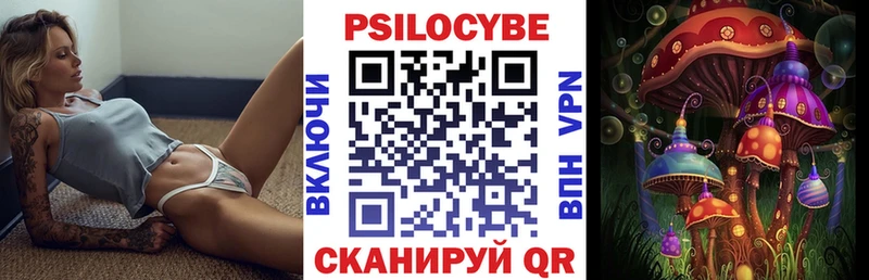 Галлюциногенные грибы Cubensis  хочу   Бородино 